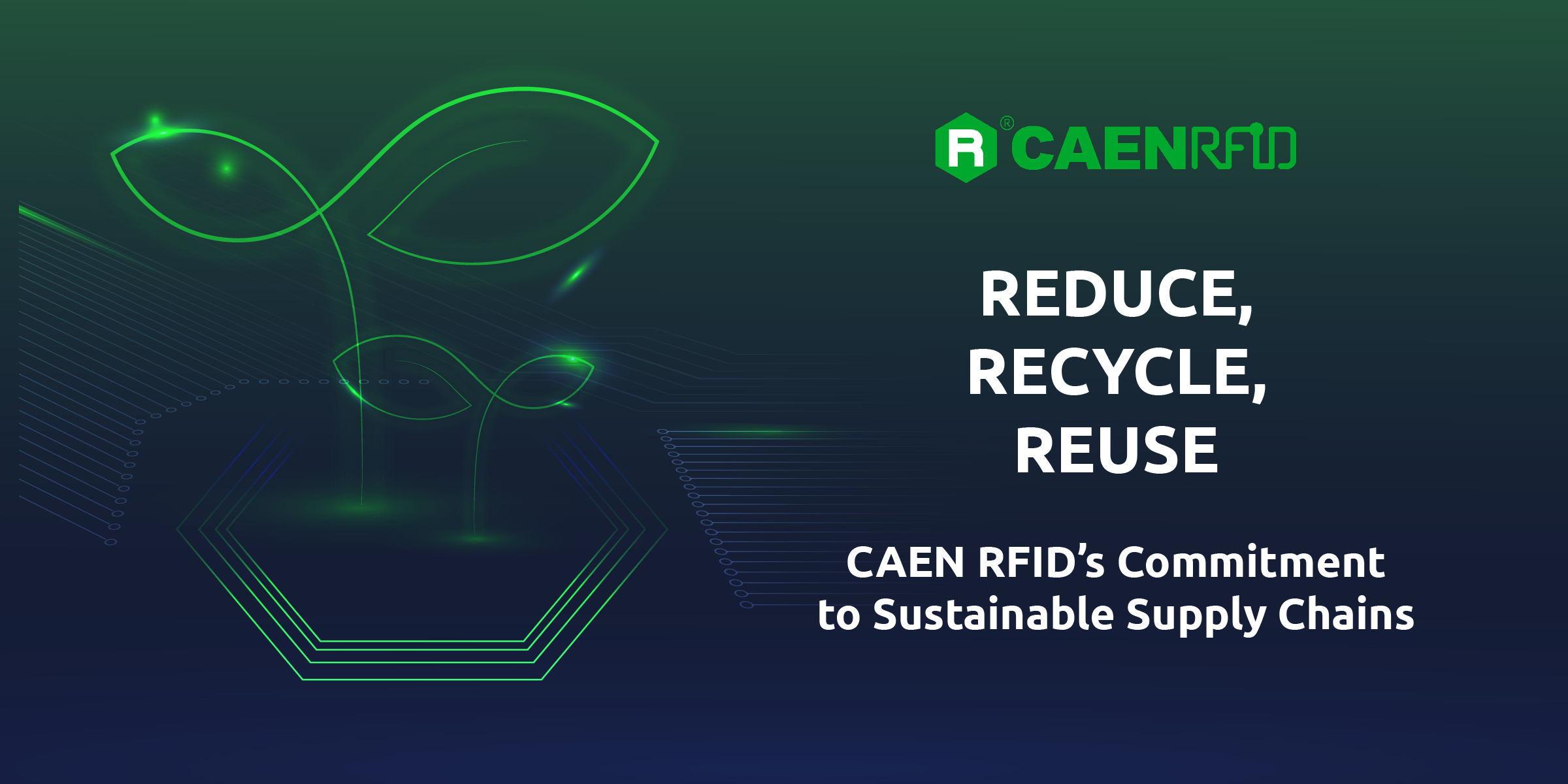 immagine principale articolo